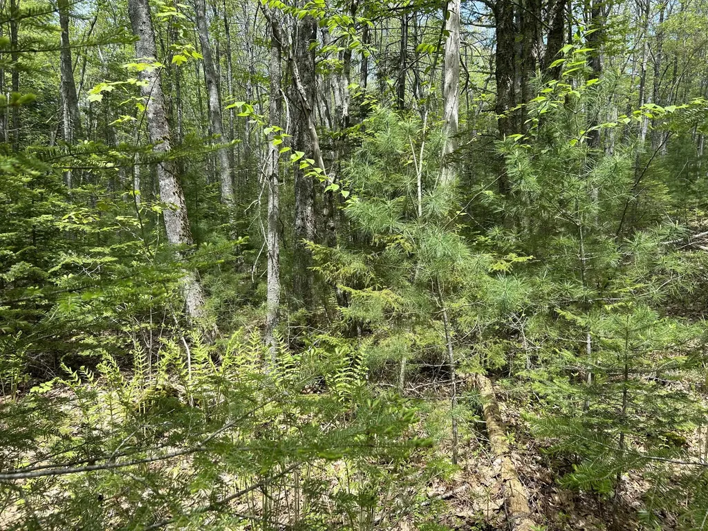 103 Ledges Circle Waldoboro ME 04572