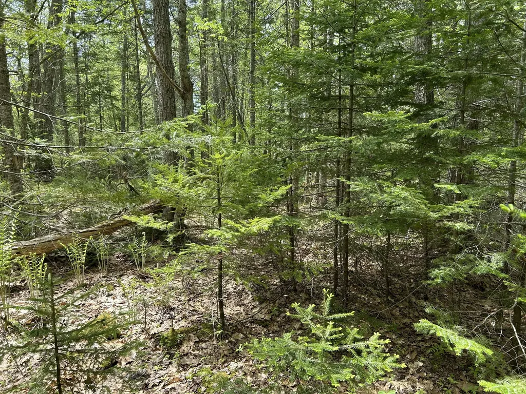 103 Ledges Circle Waldoboro ME 04572