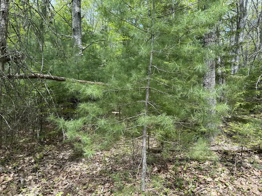 103 Ledges Circle Waldoboro ME 04572