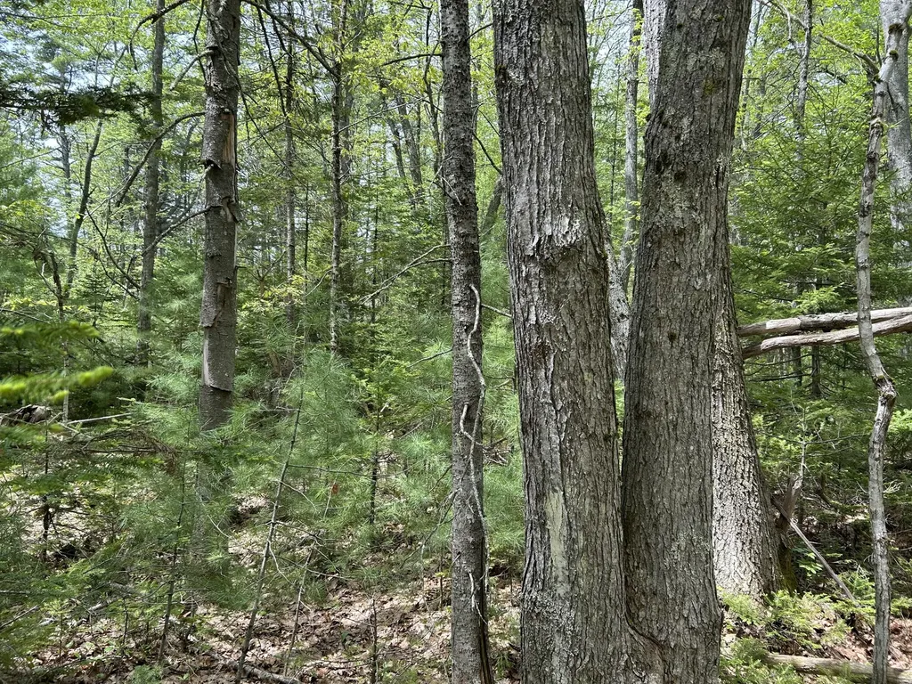 103 Ledges Circle Waldoboro ME 04572