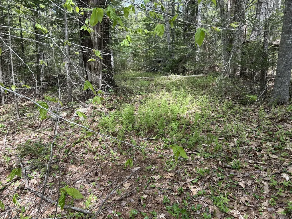 103 Ledges Circle Waldoboro ME 04572