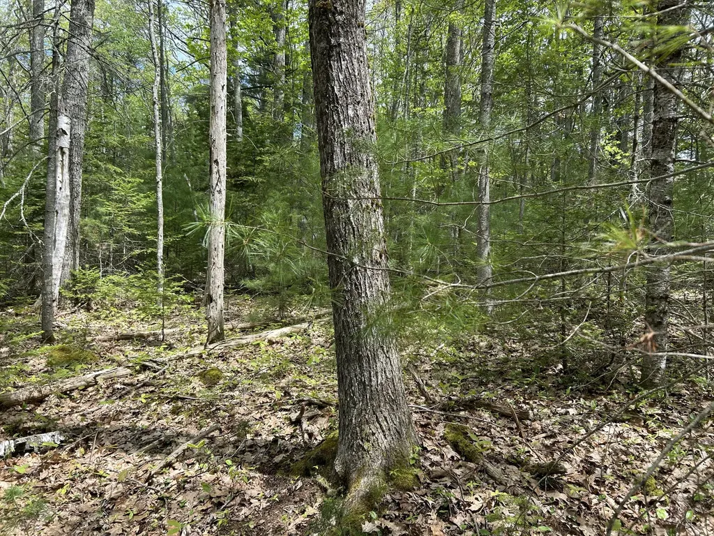 103 Ledges Circle Waldoboro ME 04572