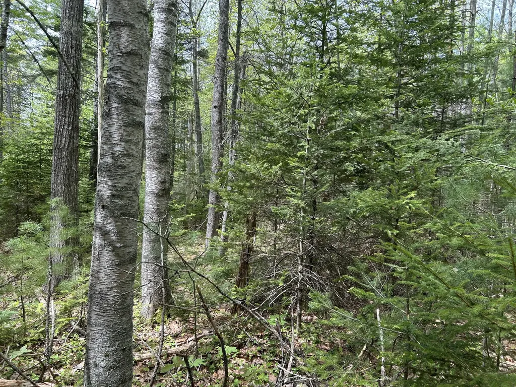 103 Ledges Circle Waldoboro ME 04572