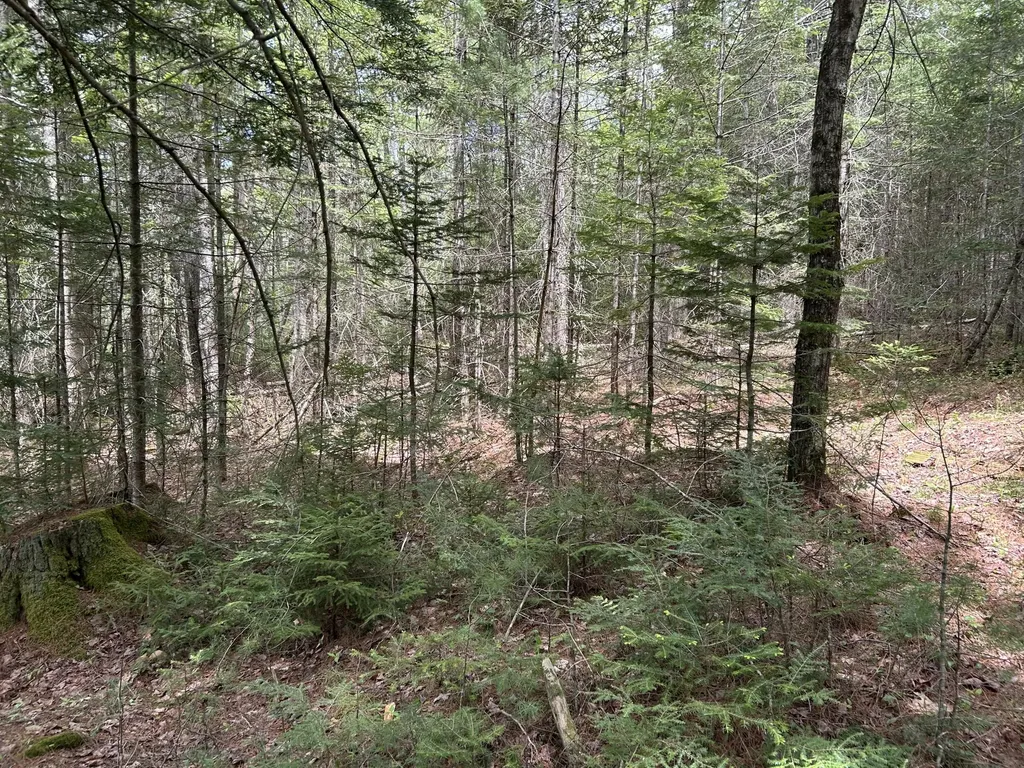 103 Ledges Circle Waldoboro ME 04572