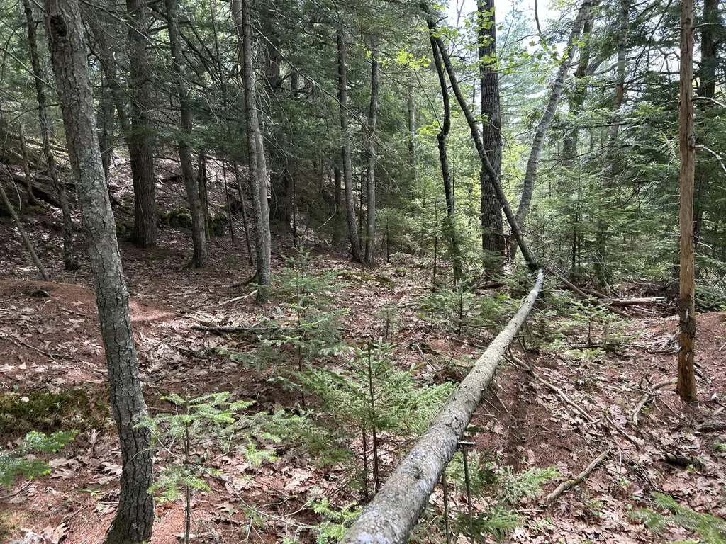 103 Ledges Circle Waldoboro ME 04572