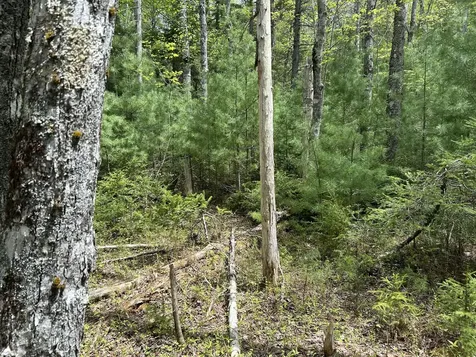 103 Ledges Circle Waldoboro ME 04572