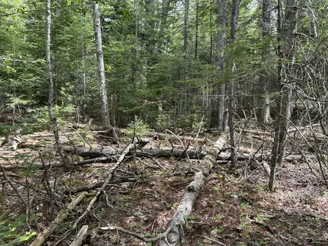 103 Ledges Circle Waldoboro ME 04572