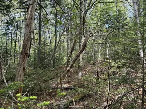 103 Ledges Circle Waldoboro ME 04572