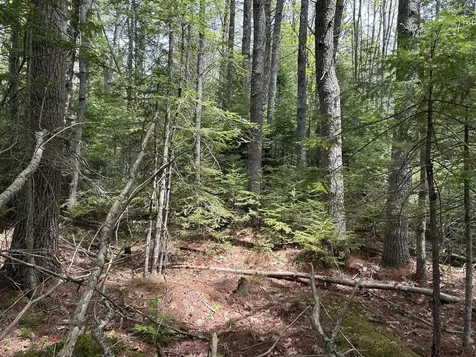 103 Ledges Circle Waldoboro ME 04572