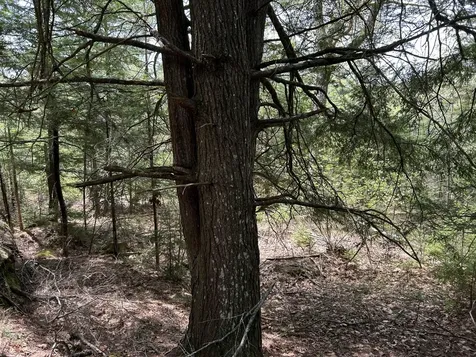 103 Ledges Circle Waldoboro ME 04572