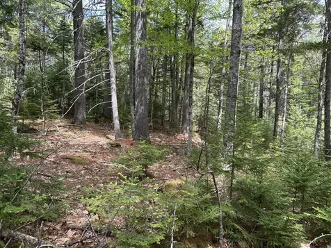 103 Ledges Circle Waldoboro ME 04572