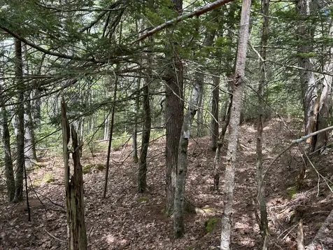 103 Ledges Circle Waldoboro ME 04572