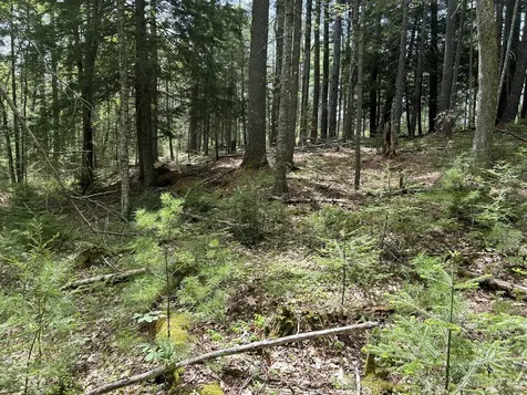 103 Ledges Circle Waldoboro ME 04572