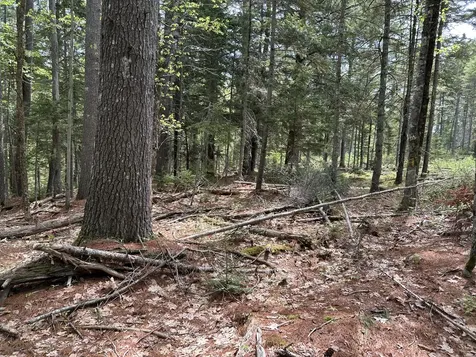 103 Ledges Circle Waldoboro ME 04572