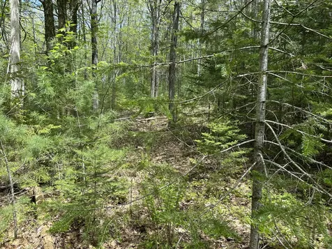 103 Ledges Circle Waldoboro ME 04572