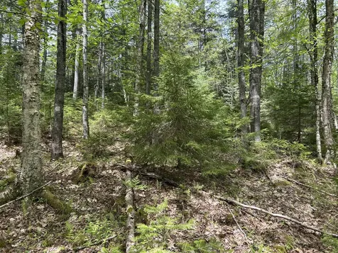 103 Ledges Circle Waldoboro ME 04572