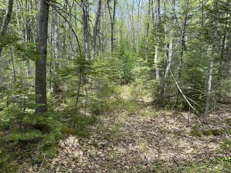 103 Ledges Circle Waldoboro ME 04572