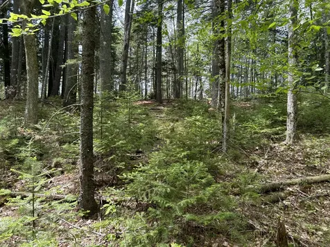 103 Ledges Circle Waldoboro ME 04572
