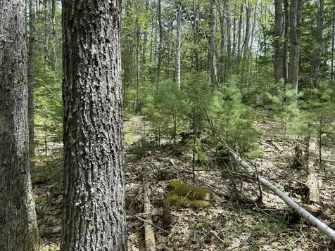 103 Ledges Circle Waldoboro ME 04572