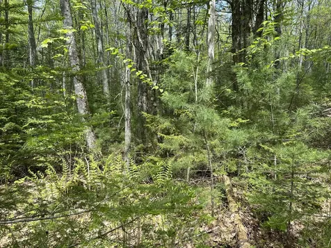 103 Ledges Circle Waldoboro ME 04572