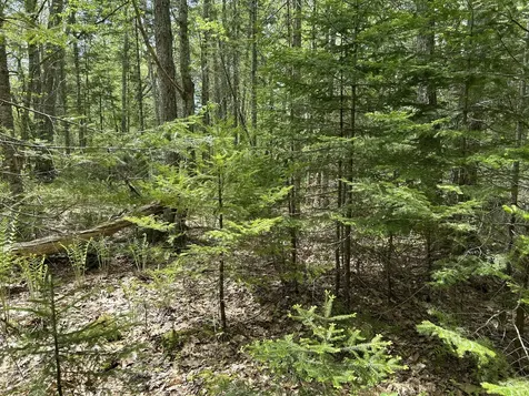 103 Ledges Circle Waldoboro ME 04572