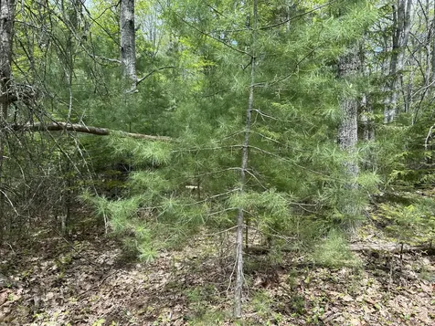 103 Ledges Circle Waldoboro ME 04572