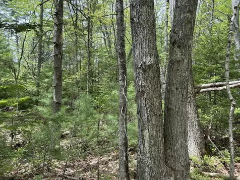 103 Ledges Circle Waldoboro ME 04572