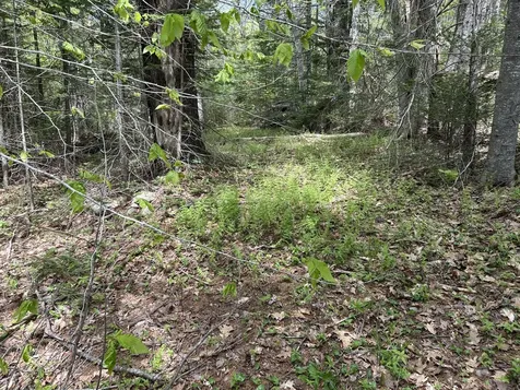 103 Ledges Circle Waldoboro ME 04572