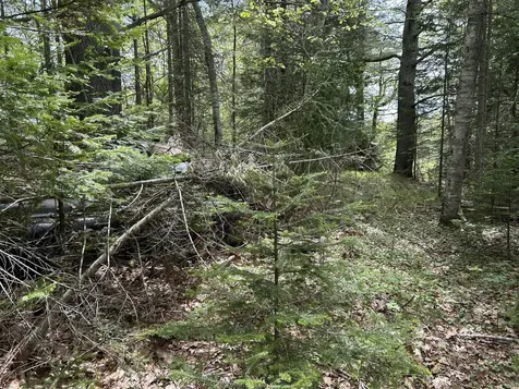 103 Ledges Circle Waldoboro ME 04572