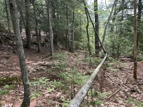 103 Ledges Circle Waldoboro ME 04572