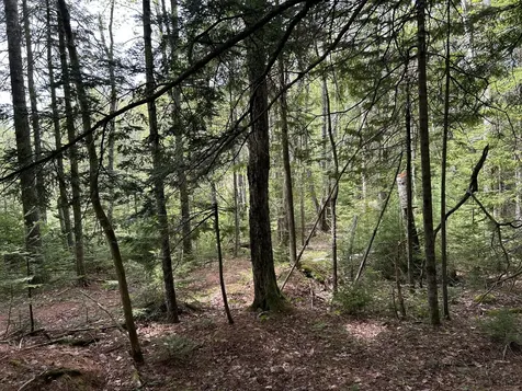 103 Ledges Circle Waldoboro ME 04572