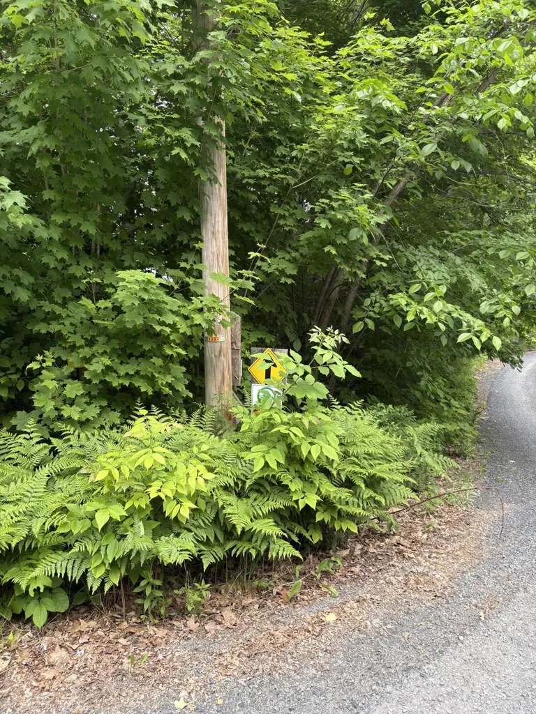 22 Monument Road Abbot ME 04406