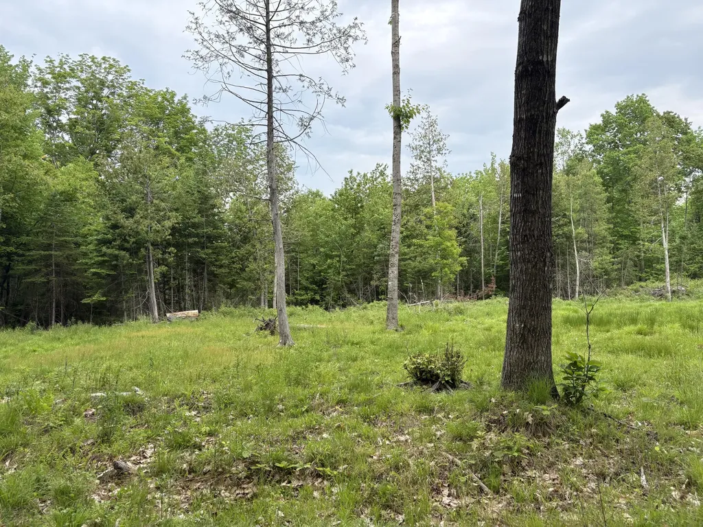 22 Monument Road Abbot ME 04406
