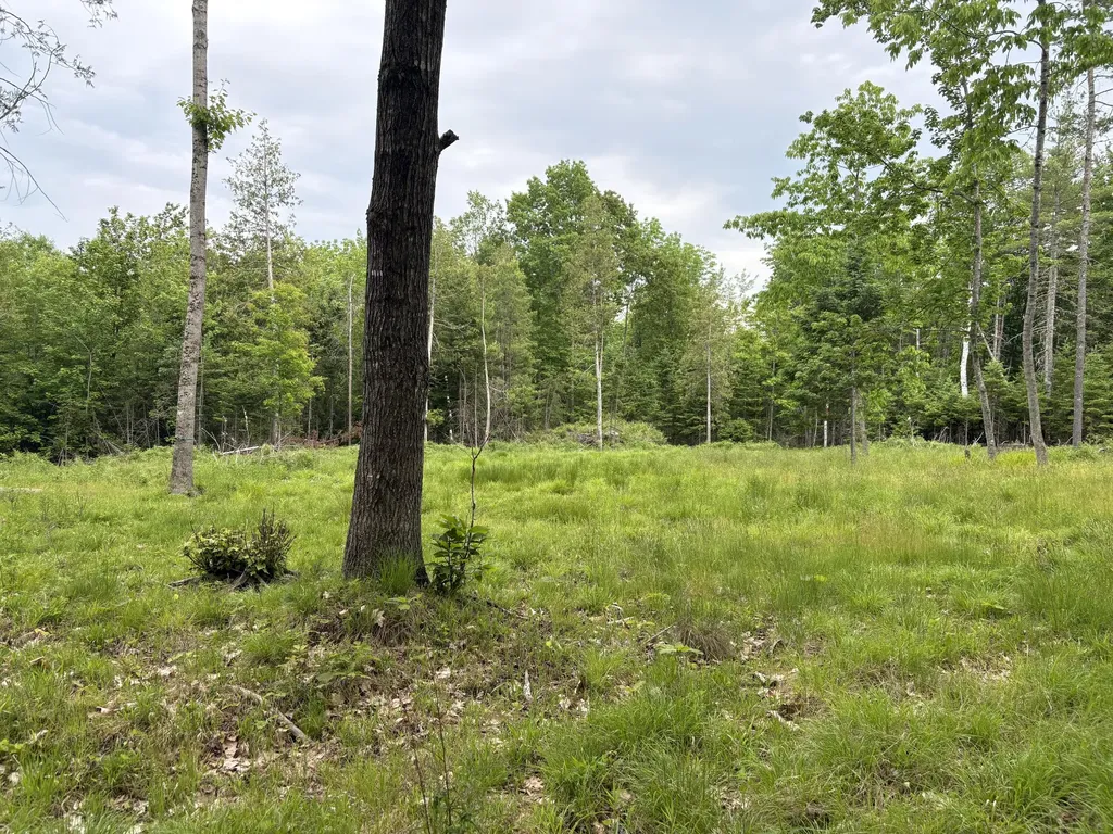 22 Monument Road Abbot ME 04406
