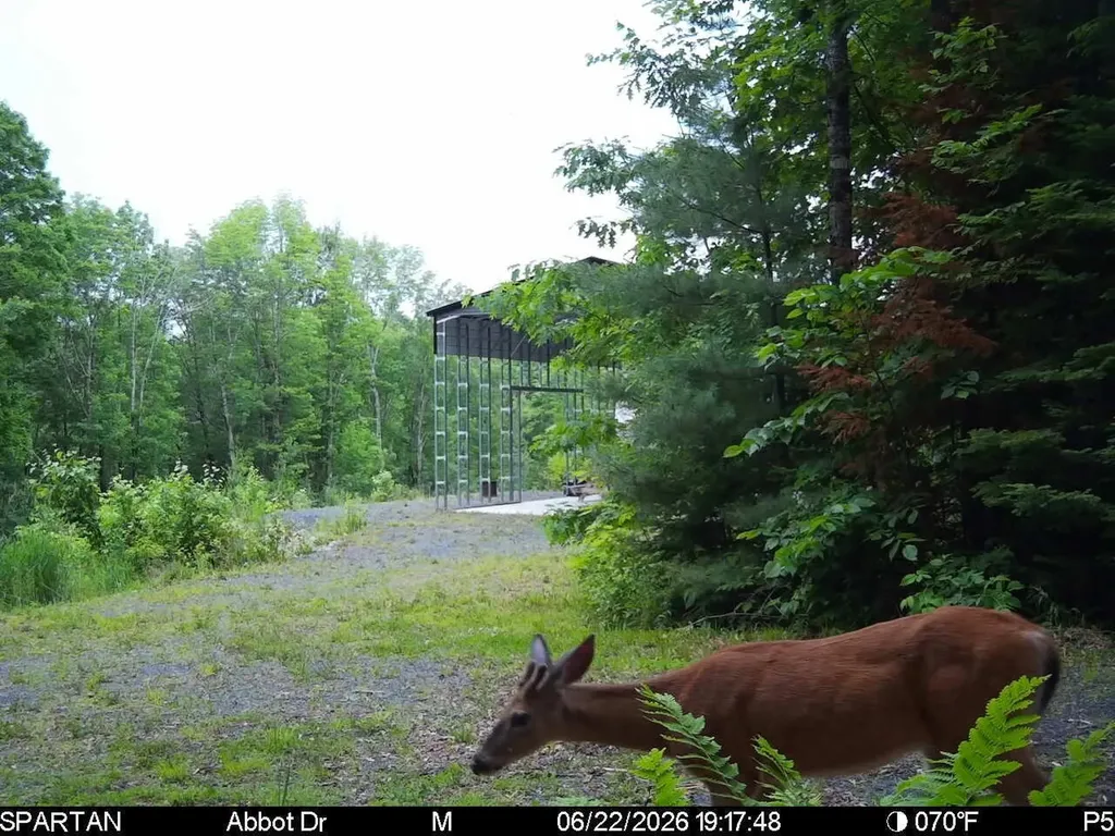 22 Monument Road Abbot ME 04406