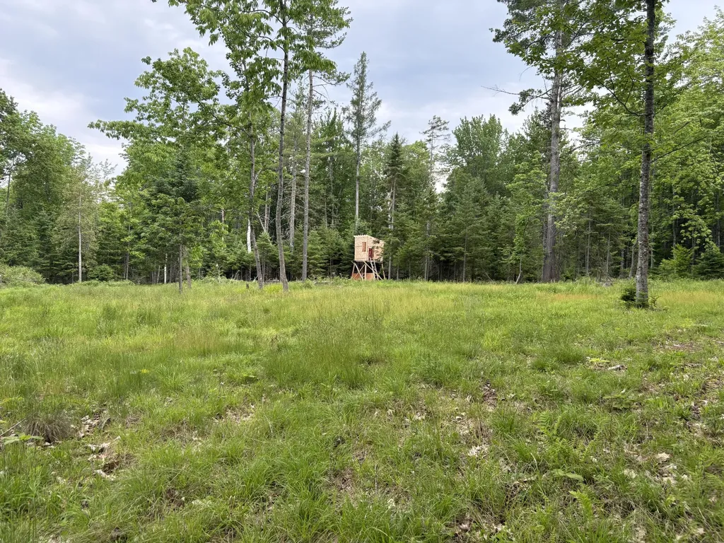 22 Monument Road Abbot ME 04406