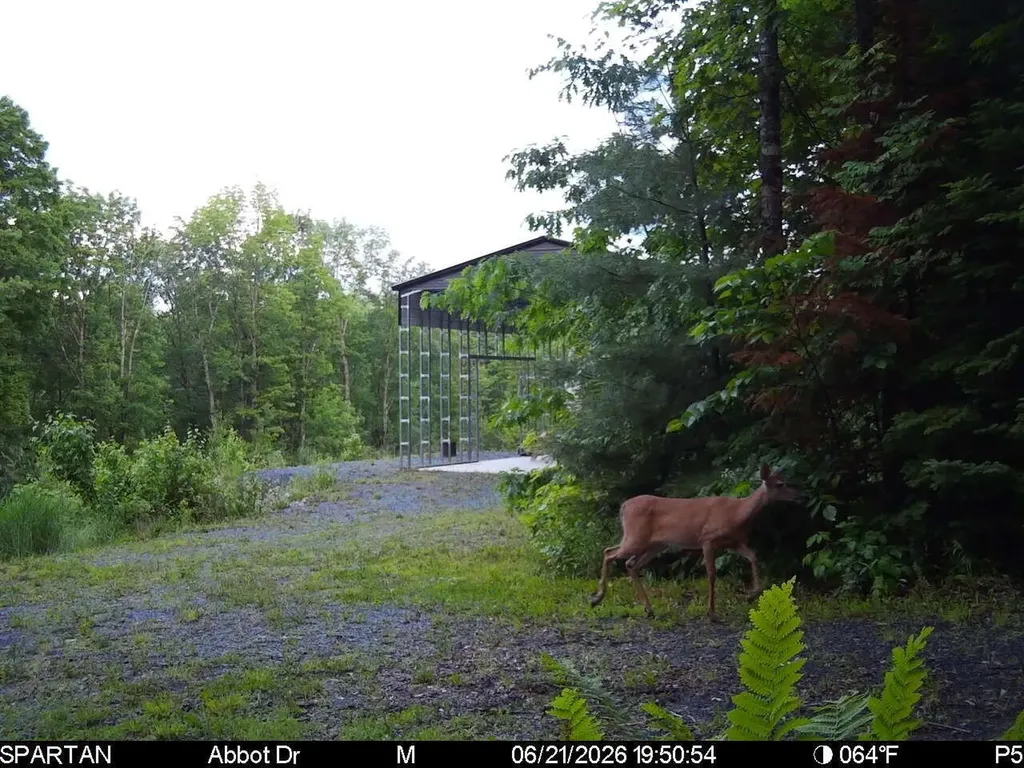 22 Monument Road Abbot ME 04406