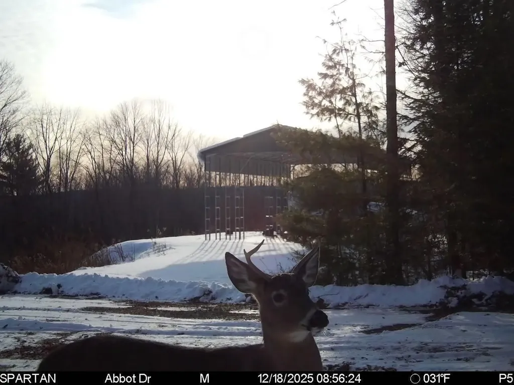 22 Monument Road Abbot ME 04406