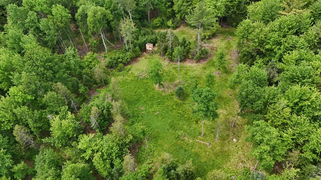 22 Monument Road Abbot ME 04406