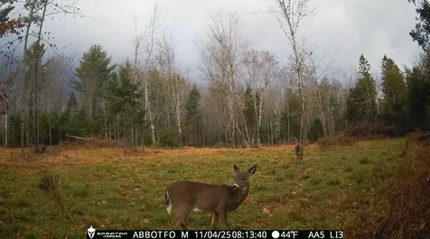 22 Monument Road Abbot ME 04406