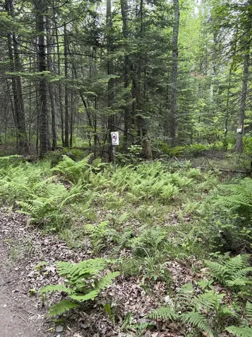 22 Monument Road Abbot ME 04406
