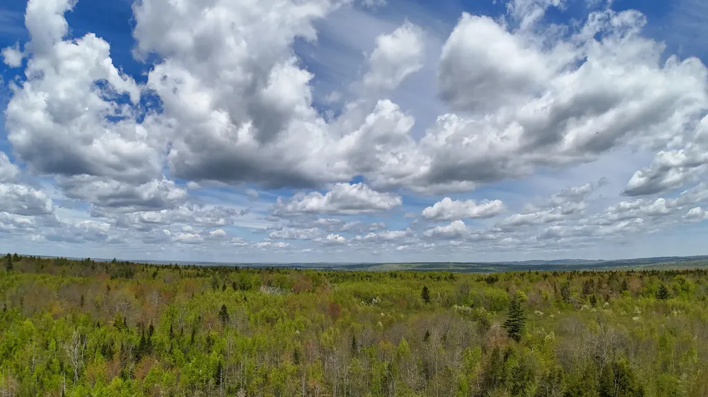 Lot 4 E Ridge Road Cooper ME 04657