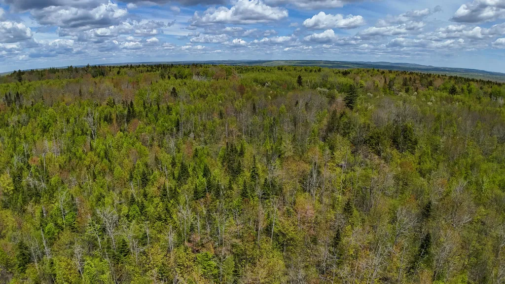 Lot 4 E Ridge Road Cooper ME 04657