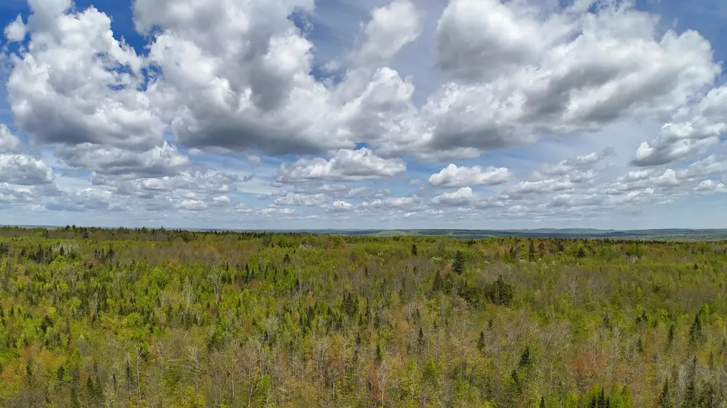 Lot 4 E Ridge Road Cooper ME 04657