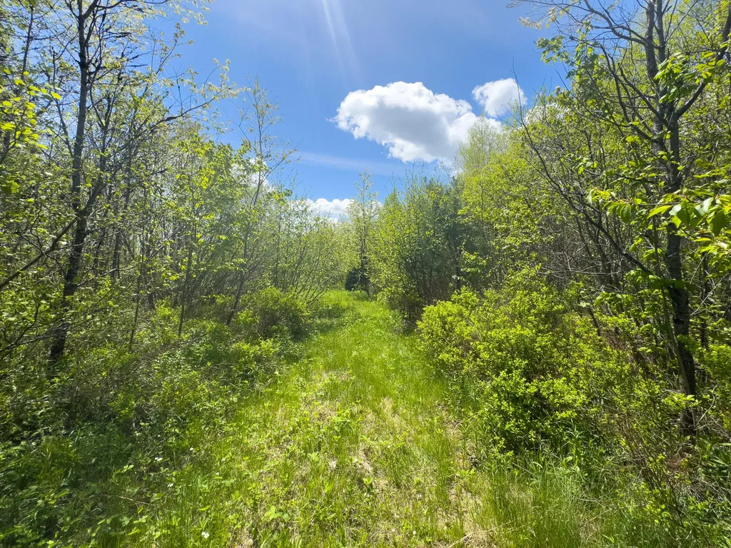 Lot 4 E Ridge Road Cooper ME 04657