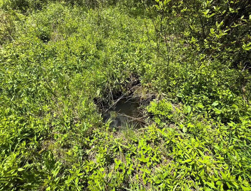 Lot 4 E Ridge Road Cooper ME 04657