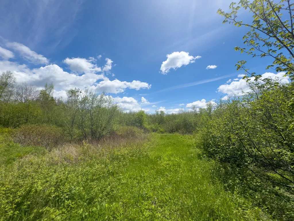 Lot 4 E Ridge Road Cooper ME 04657