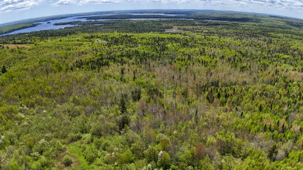 Lot 4 E Ridge Road Cooper ME 04657