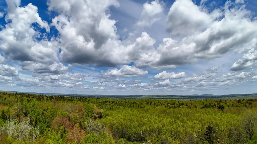 Lot 4 E Ridge Road Cooper ME 04657