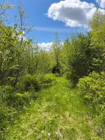 Lot 4 E Ridge Road Cooper ME 04657